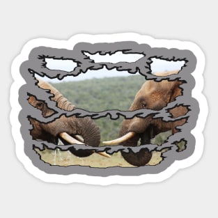 Wildlife Ripped Elephant Faces Sticker